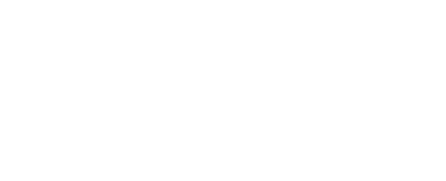 Villa Frequency Logo